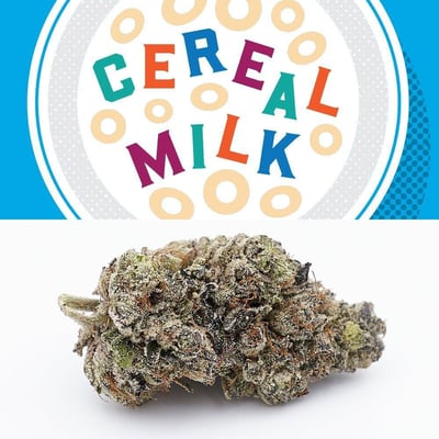 Cereal Milk