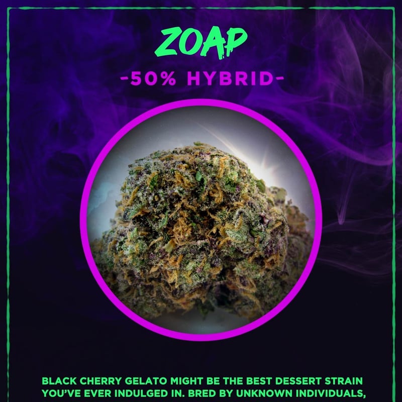 HIGHLAND PATONG CANNABIS LOUNGE in Phuket, Thailand Weed in Thailand