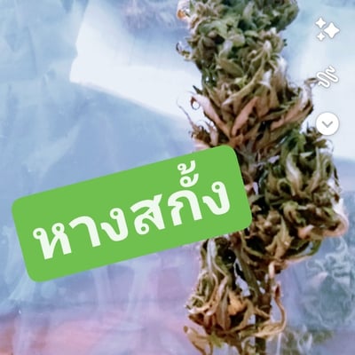 เศรษฐีกัญ product image