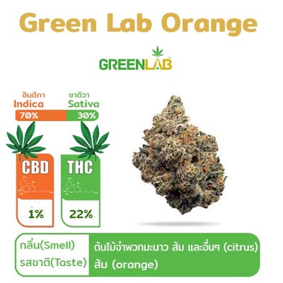 Green Lab Orange