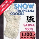 Snow Tropicana Cookies 