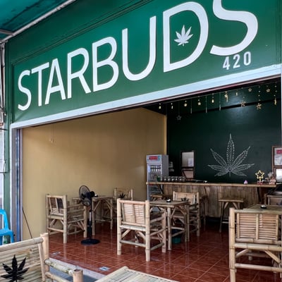 STARBUDS 420